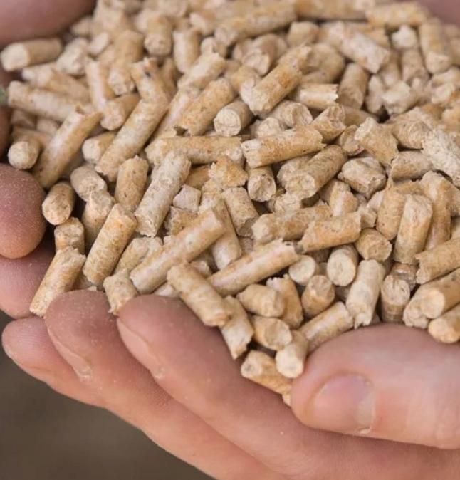 Wooden Pellet Litter for Cats, Rabbits, Rodents, Natural Light 100% 10Kg