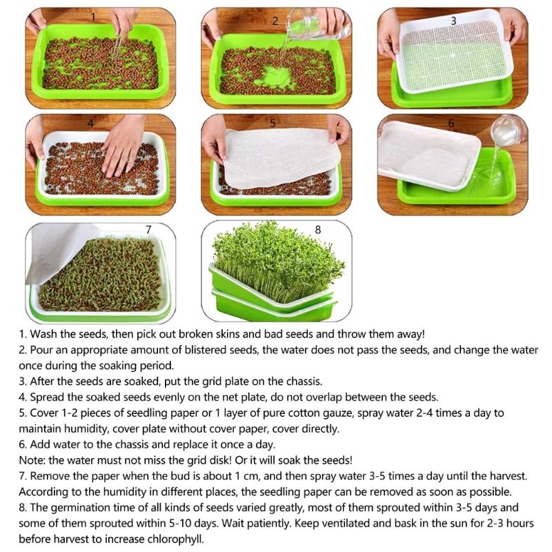 Keimschale mit Deckel Erdlose Bohnenzüchterkultur Hydroponik Anzuchtplatte Garten Keimschale Pflanzwerkzeug