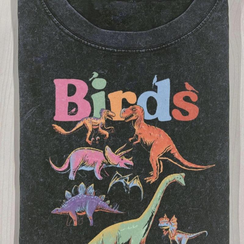 

European Size Men s Vintage Retro Dinosaur Graphic T-Shirt - Washed Cotton Tee with Prehistoric Dinosaur & Birds Print, Soft Breathable Short Sleeve S чёрный
