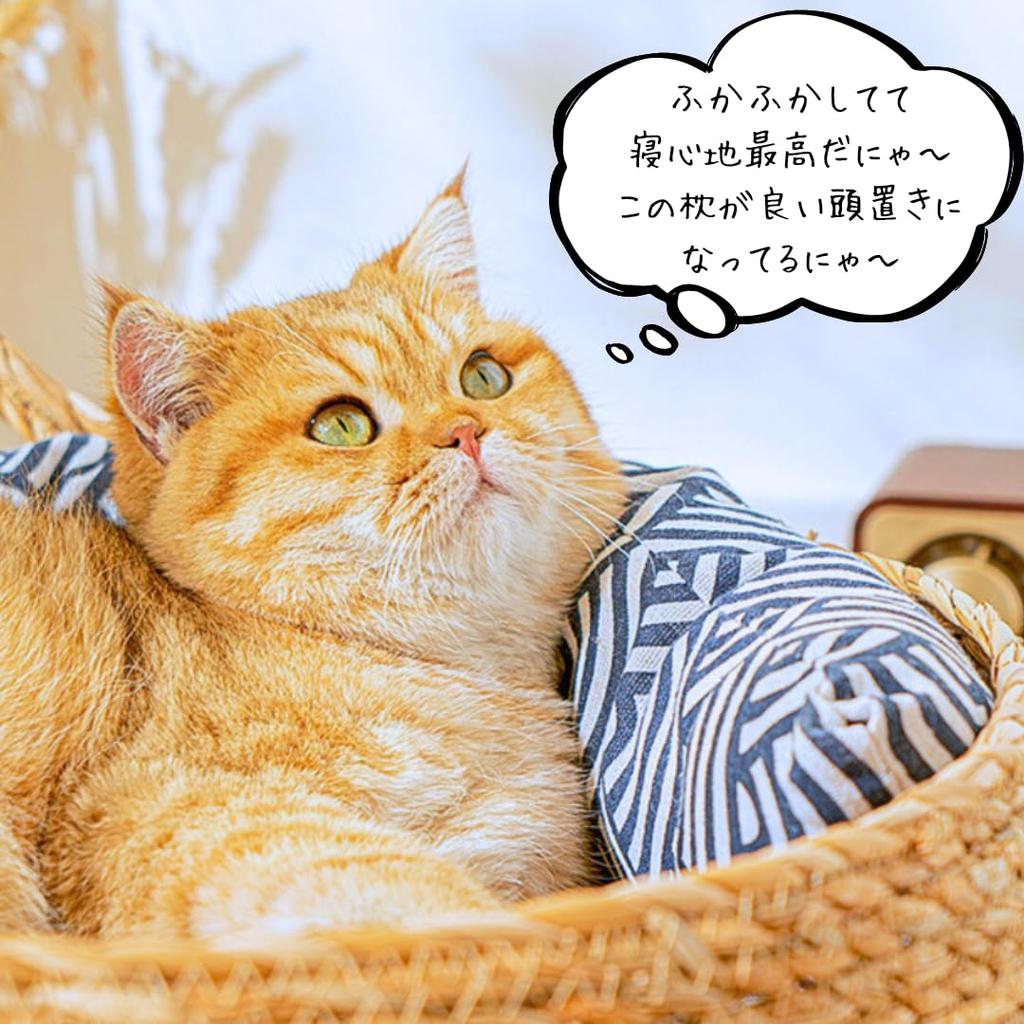 Cat Cattail with Japanese-style Bed, Grass, Wisteria, Rattan, Cushion, Natural, Handwoven, Breathable, All-Season (Blue, Small)
