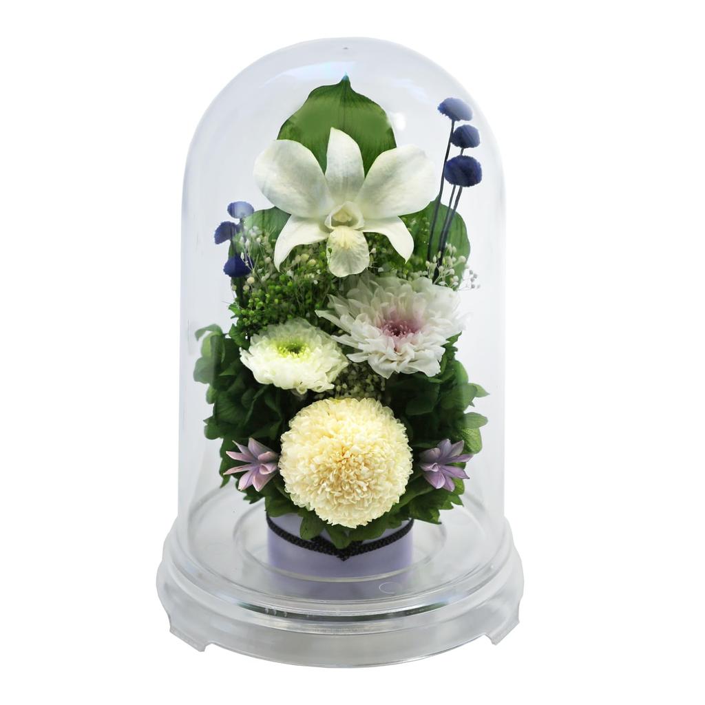 Art for Seasons Offering Mum Dome Preserved Flowers (White with Clear Base)
