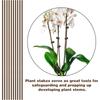 Set of 10 Plant Tutors with 15 Pliers, Flexible Sticks 45.7 cm High, Brown Orchid Pliers for Indoor and Outdoor Flower Growth, Roses, Amaryllis