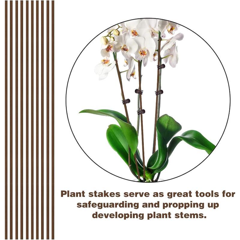 Set of 10 Plant Tutors with 15 Pliers, Flexible Sticks 45.7 cm High, Brown Orchid Pliers for Indoor and Outdoor Flower Growth, Roses, Amaryllis