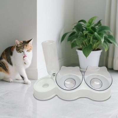 Câini – Veselă pentru hrănirea câinilor