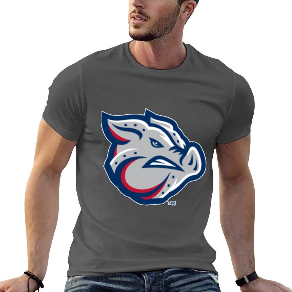Lehigh Valley Ironpigs Tshirt Summer 2026 Summer Shirt Unisexs Vintage T Shirts