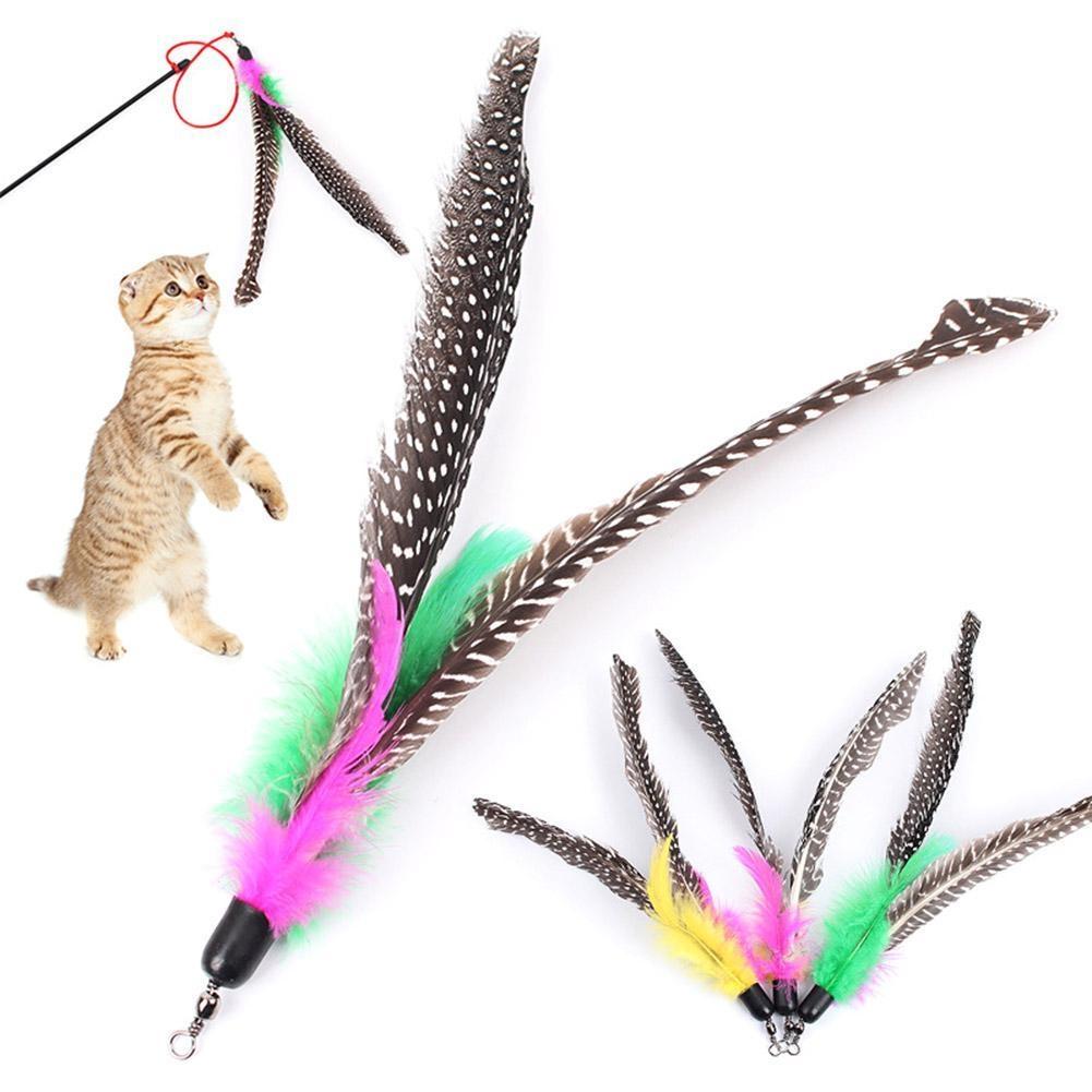 cat feather toy replacement