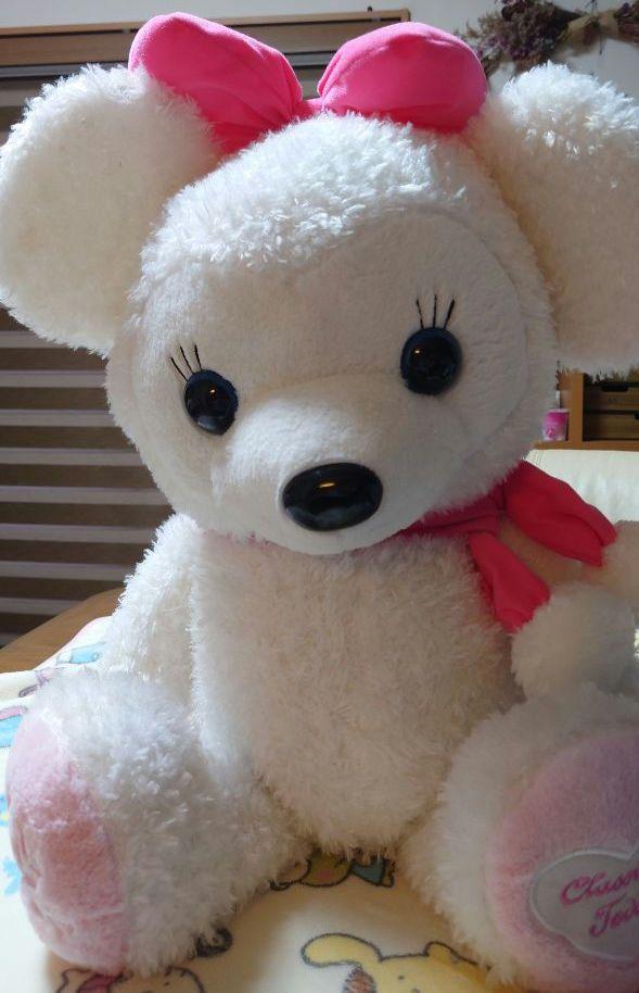 [USED] Teddy Bear (extra Large)