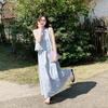 Blue Embroidered Striped Sleeveless Lace Skirt Set Women's Summer New Unique Beautiful Popular Two-piece Set