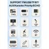 B03B-High Power DSP Bluetooth 5.3 Amplifier Board 8-18 Inch Trolley Speaker Outdoor Audio Amp Module Mono 60W Stereo Amp
