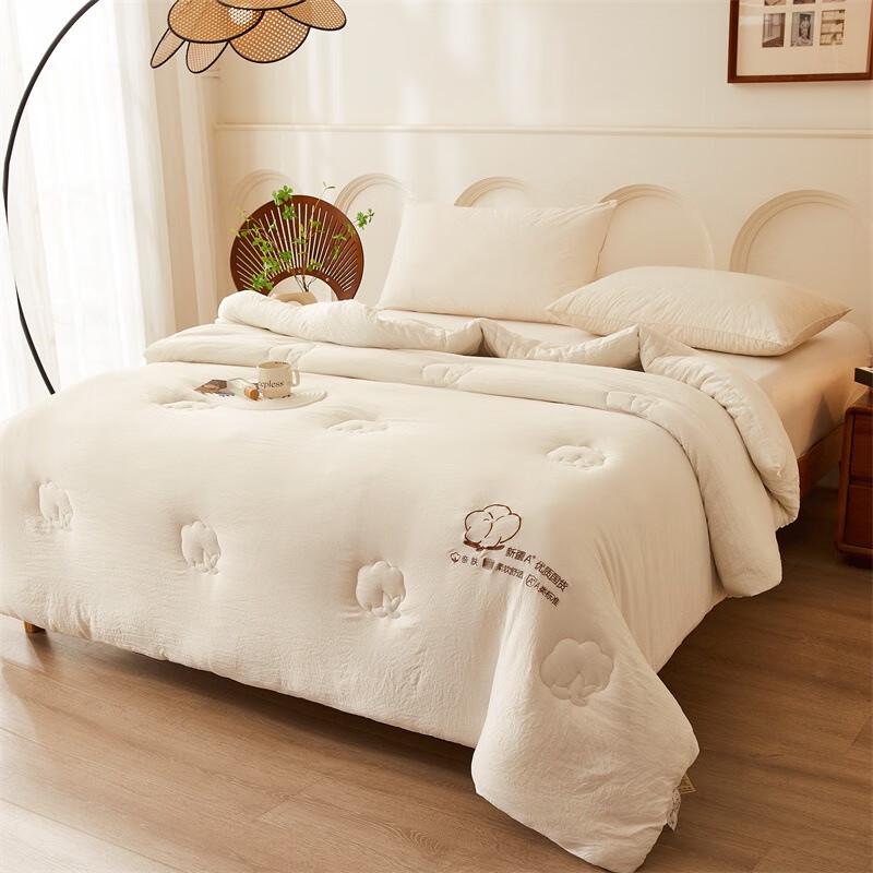 JieLiYa Xinjiang Washed Cotton Winter Quilt