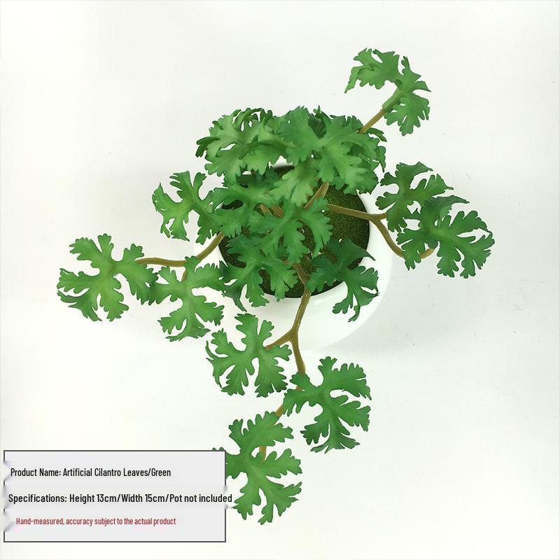 Huashe Red Air Succulent: Creative Faux Green Plant for Home Décor