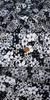 Italian Black & White Floral High-Count Cotton Poplin Fabric for Designer Dress Shirts