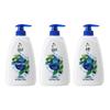 Liùshén Icy Cool Refreshing Shower Gel