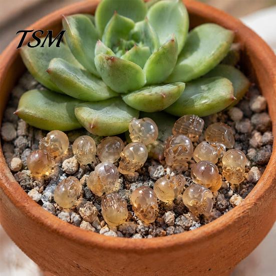 Small Resin Skull Crafts 20Pcs Creative Miniature Figurines, Cool Statues for Garden Bonsai Window Display Gothic Decor Decoration, Micro Landscapes