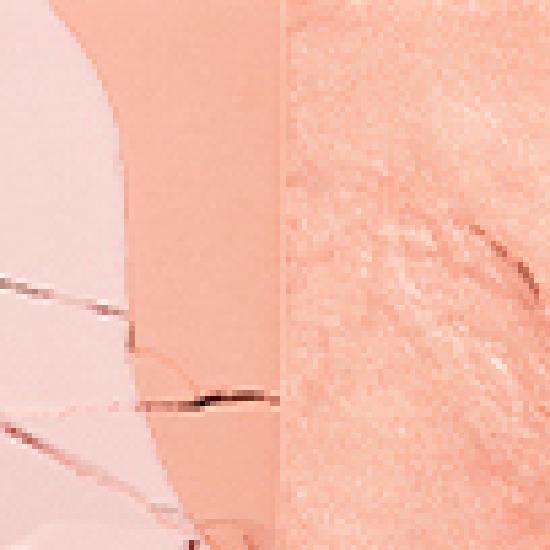 Espoir Tone Pairing Cheek 4 Colors