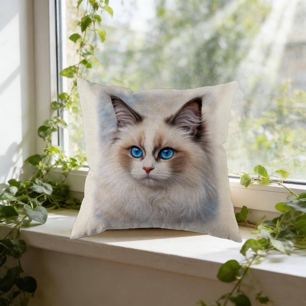 Cat Face Pillow Case White With Blue Eyed Cat Print For Home Decor And Window Seat