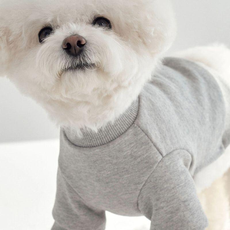 CROOKTHECHIHUAHUA Semi Crop Sweat Shirt - GRAY