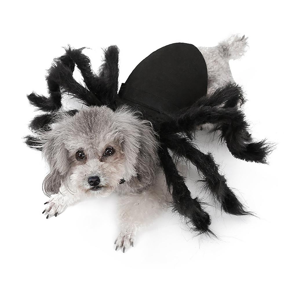Kjæledyr Edderkoppkostyme Halloween Kjæledyr Edderkoppklær Hund Katt Skrekk Simulering Plysj Edderkopper Kle Seg Ut