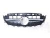 Fits 16-19 Mercedes-Benz E-Class W213 AMG E53 Front Center Grille Air Intake/Radiator Cover