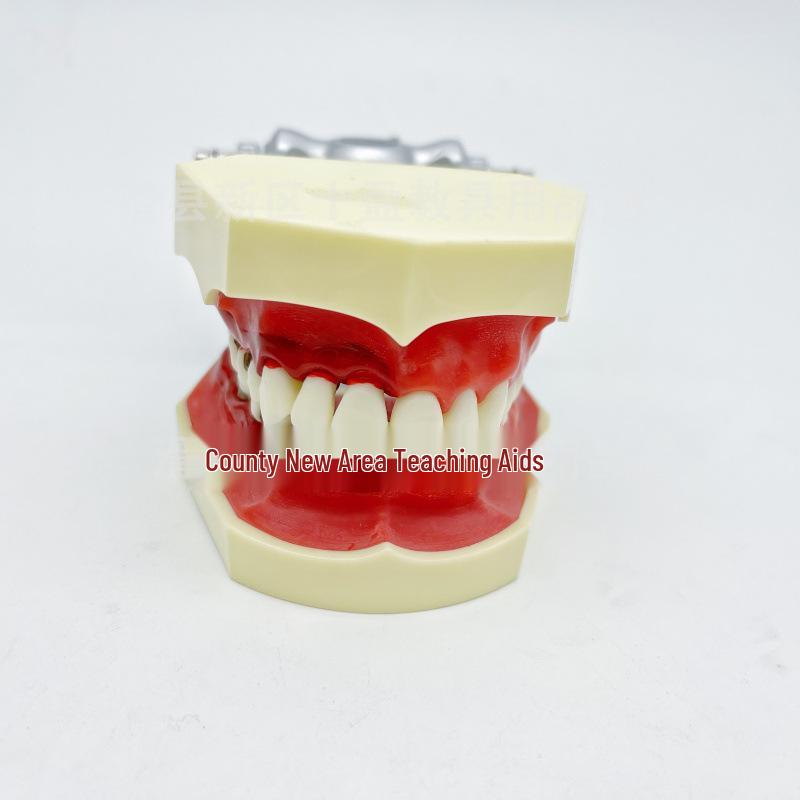 Periodontal Scaling Teaching Model for Doctor-Patient Communication