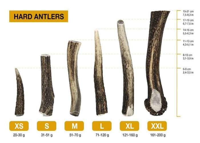 Jouet À Mâcher Naturel - RF - DEER - Bois De Cerf Élaphe L - Lot De 5 - 100% Naturel