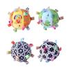Dinosaur Visual Touch Ball Baby Toy Dog Dog Chew Sounding Plush Ball Cleaning Teeth
