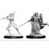 WizKids D&D Nolzur's Marvelous Miniatures Female Human Druid