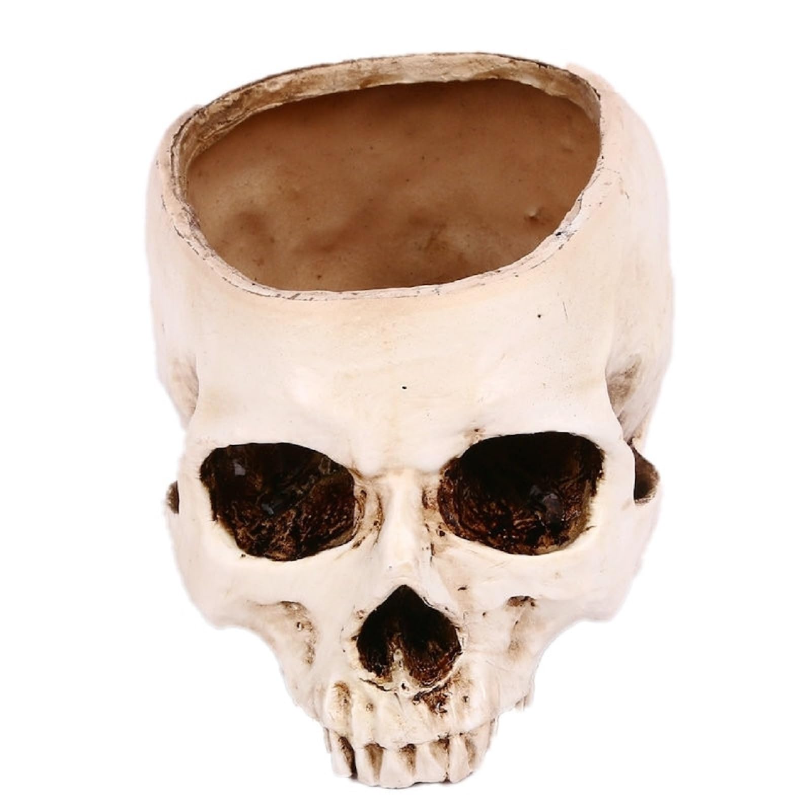 

Queen-b Empty Skull Accessory Holder Desk Real Skull Skeleton Halloween Goods Decoration White Planter Pot Interior