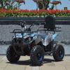 Automobile și motociclete – Pentru ATV-uri