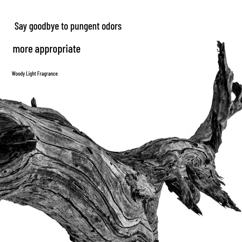 Li Ran Refreshing Dry Hair Spray