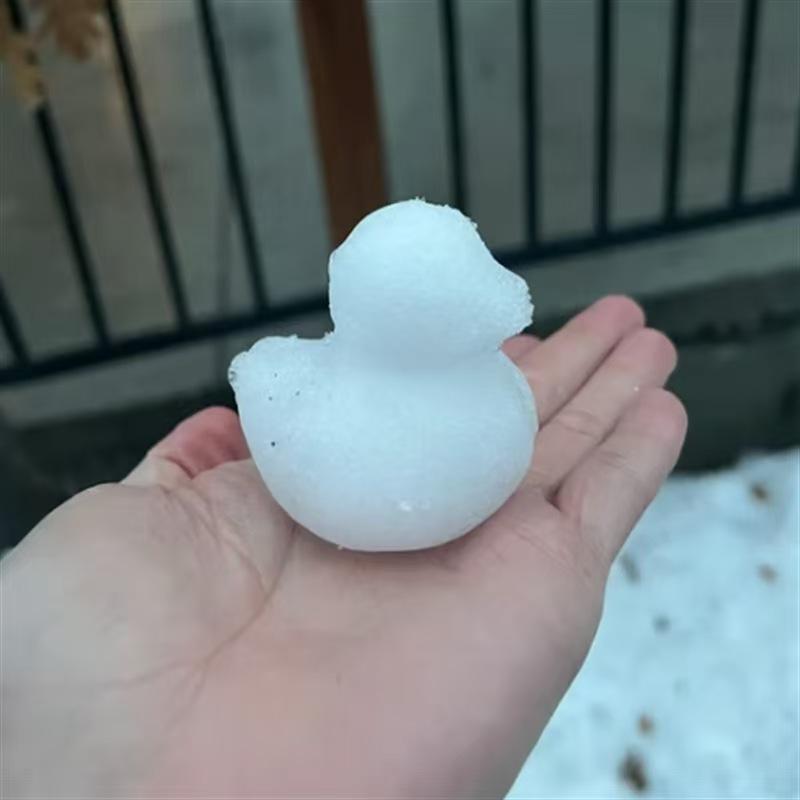 Portable Novelty Snow Duck Mold Maker
