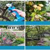 SK5 Cordless Pruner Cutting-Blade 40mm Electric Pruning Shear Accessory Efficient Fruit Tree Bonsai Pruning Branches Garden Tool