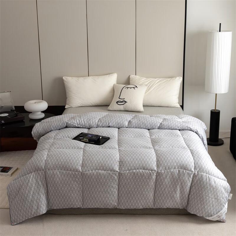 

Qilu European Style All-Season Fiber Quilt