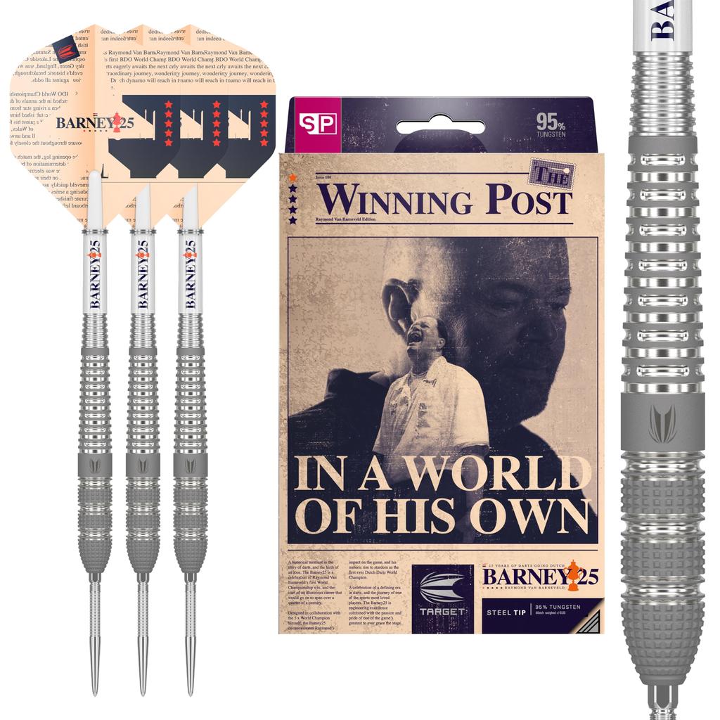 Target Darts Raymond Van Barneveld RVB 25 Year Edition 25G Tungsten Swiss Point Steel Tip Dart Set 95%