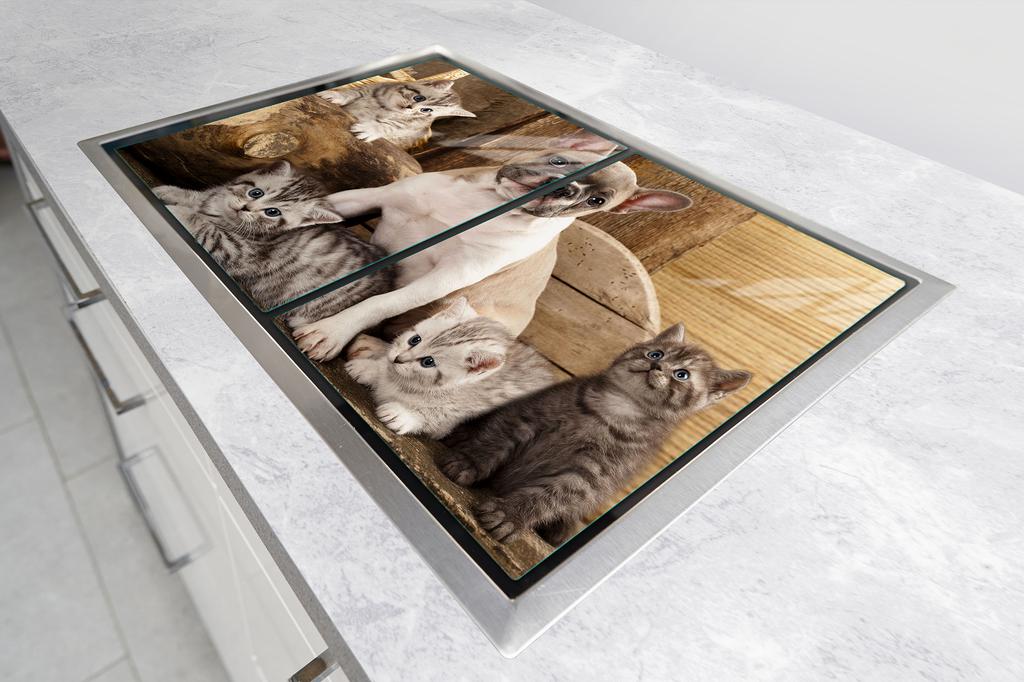 GLAS-KOCHFELDSCHUTZPLATTE 85x52 HUND