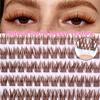 Brown Lashes New Type 10 Rows Glue Free Lashes Easy Application Eyelashes Reusable Lash Clusters with No Glue Needed