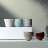 Wanqiantang Ru Kiln Master Teacup Gift Set