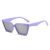 Cat Eye Sunglasses, Simple Street Glasses, Personalized Reflective Sunglasses