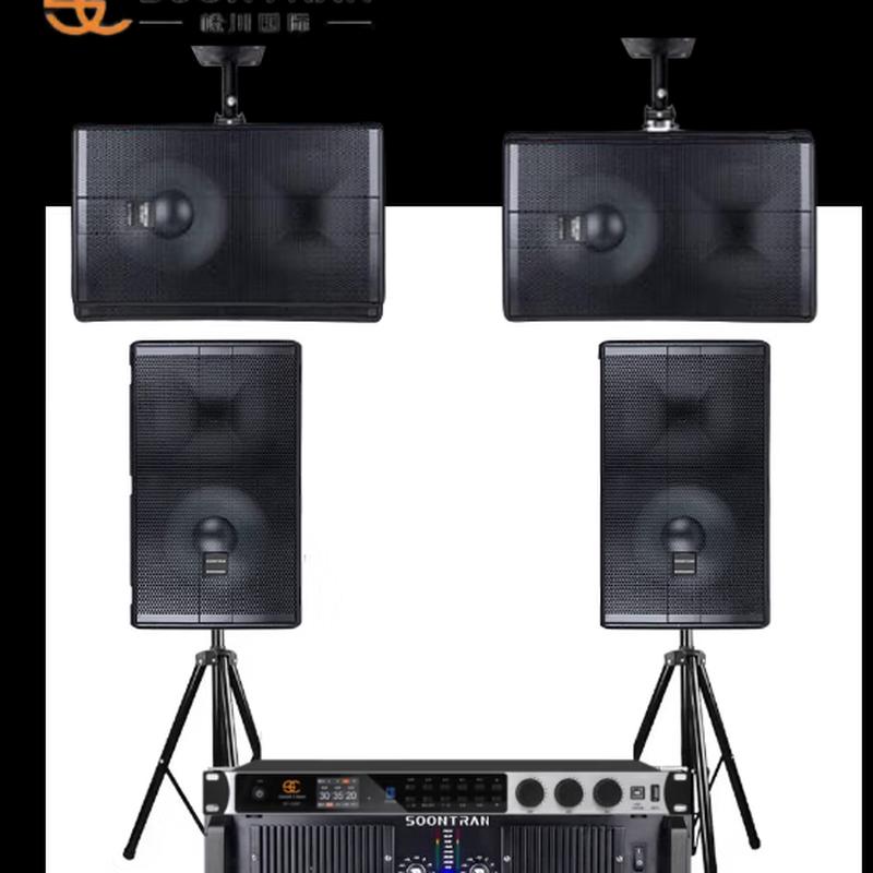 SP151 Home KTV Professional Audio & Theater System (CN Version)