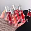 SHAQINUO Tinted Lip Serum 2.6g Deep Moisturizing Hydrating Tinted Lip Gloss Watery Glossy Mirror Finish Natural Nude Makeup