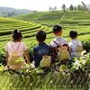 Handwoven Bamboos Fishing Basket and Flower Vases Traditional for Outdoor Lover and Home Decoration