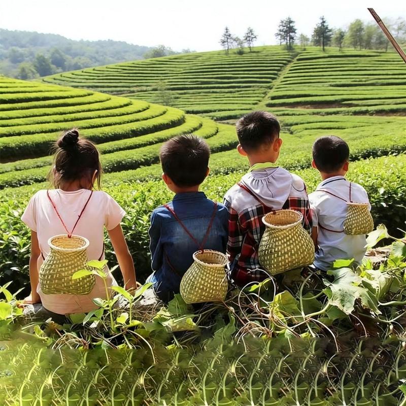 Handwoven Bamboos Fishing Basket and Flower Vases Traditional for Outdoor Lover and Home Decoration