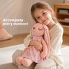 Miniso An An Rabbit Plush/soft and Cute Long-eared Doll/toy Pillow/little Rabbit Plush Doll/fresh Floral Dress with Smile Design