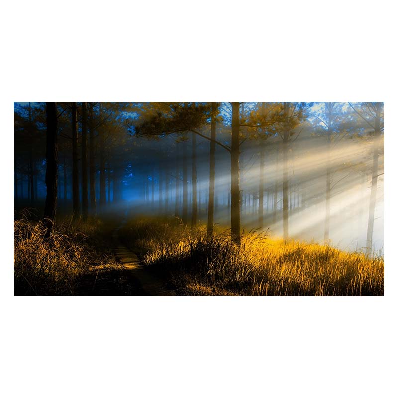 Водопад Живописный Мангровый Лес Пейзаж Холст Настенное Искусство Холст Картины Домашний — фото 19