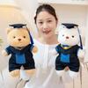 30cm High Quality Graduation Dr.Bear Plush Toy Cute Teddy Bear Soft Doll Boys Girls Students Graduation Gift Can Change Posture