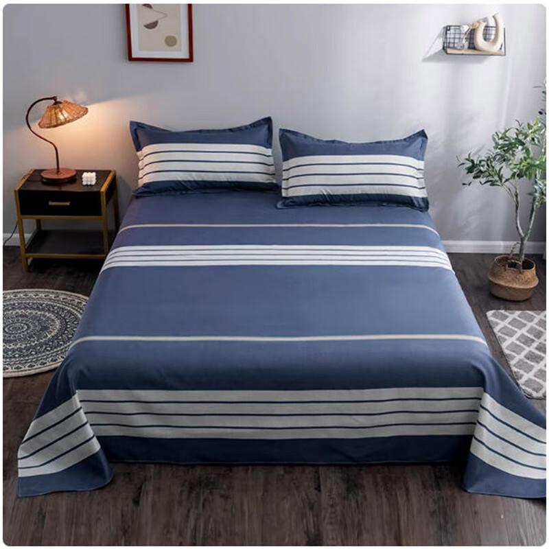 Jianshangjia Summer Simple Brushed Sheet & Pillowcase Set