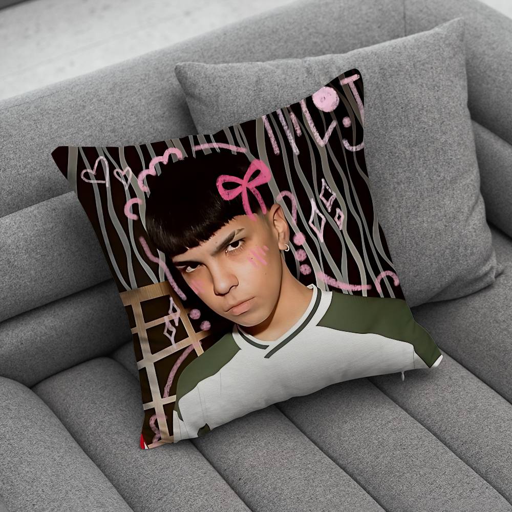 MMilo J 111 Singer pillow cover living room sofa cushion cover bedroom room bed pillow cover home decoration