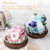 SENJWARM Preserved Flowers Birthday Gift for Women Japanese Style Glass Dome Flower Arrangement Wrapped Popular Popular Day White 60th Respect for the