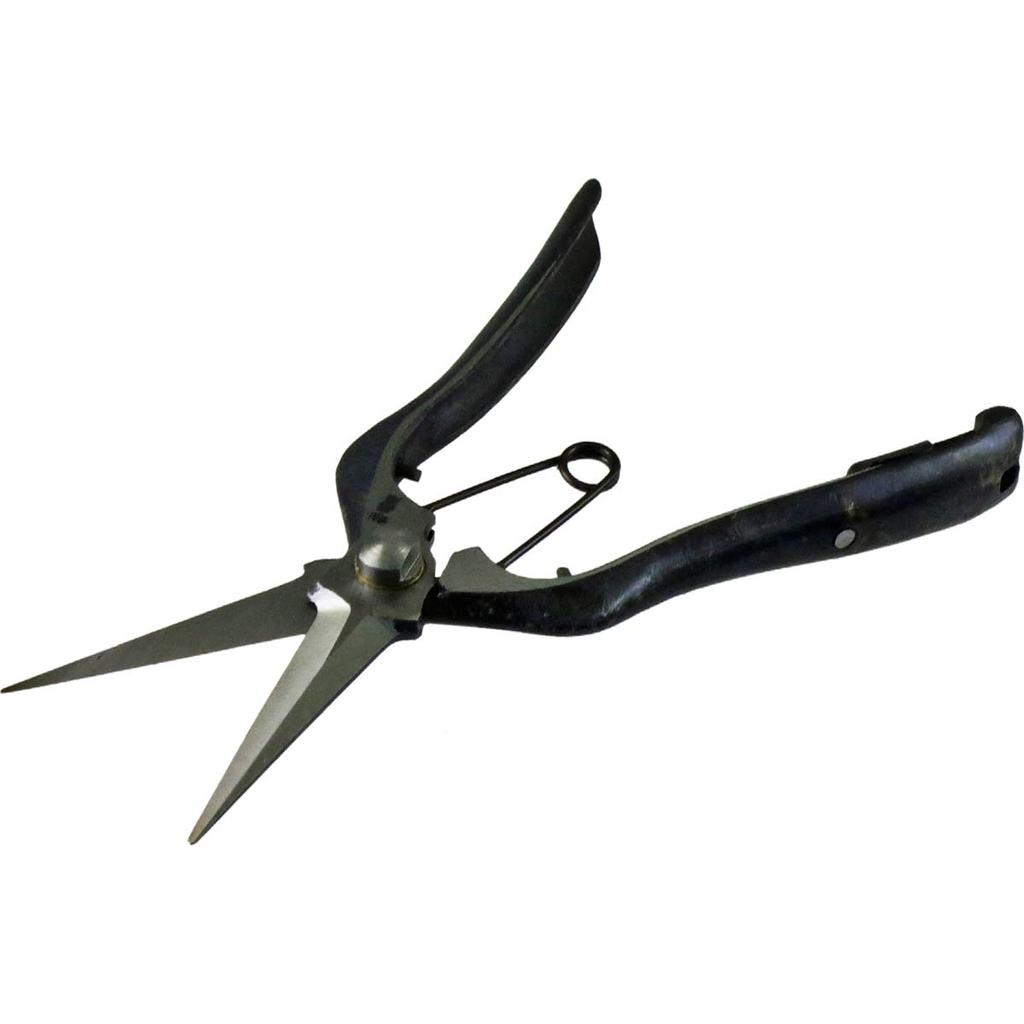 Tobitsuka Seisakusho Bud Tosho Model with Metal 200mm Double-Edged Scissors, 31165, Clamp,