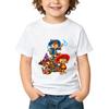 Üst giysisi – T-shirtler